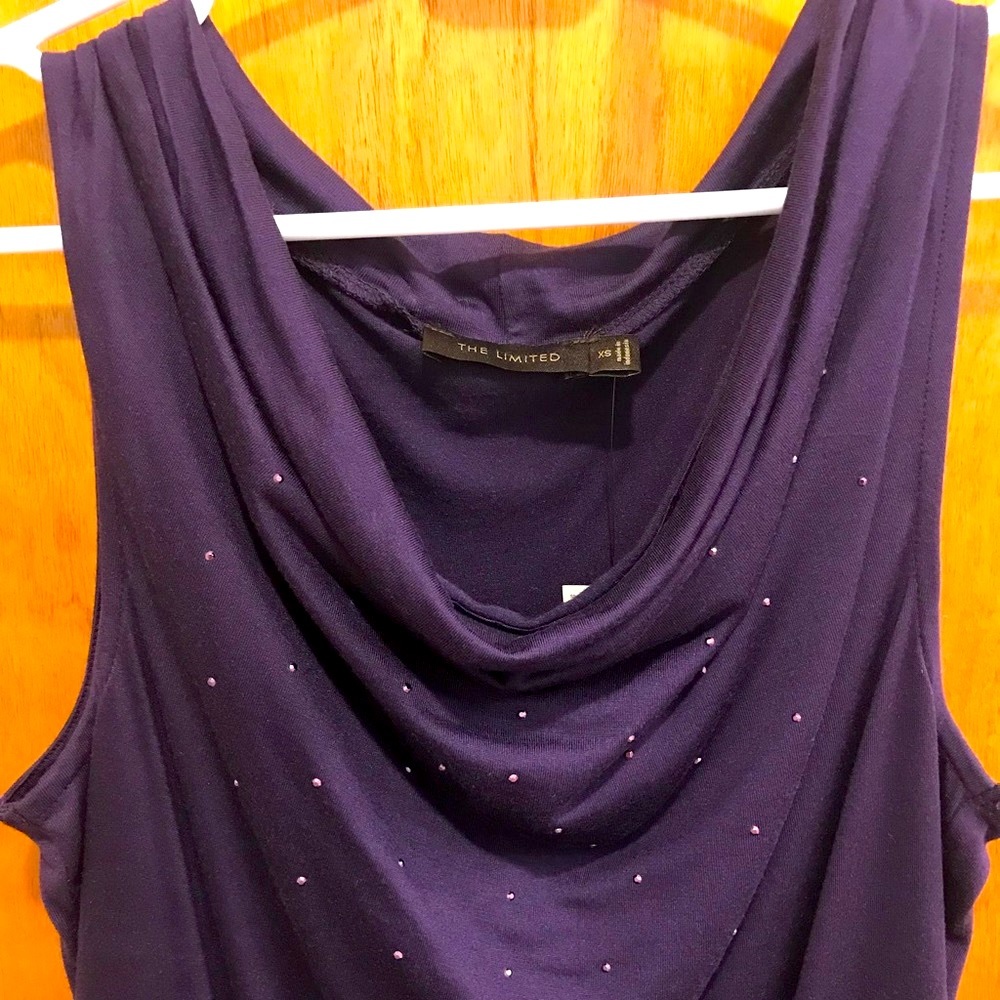 2/$20 The Limited Sparkle Tank Top, Plum/Purple, Size XS